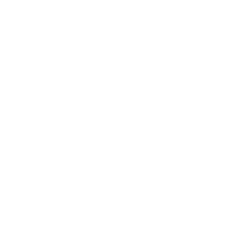 AMEX - Association of Mining and Exploration Companies 2023 Member